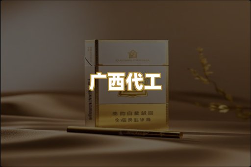 广西代工
